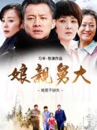 娘親舅大海報