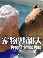 寵物妙翻天劇情介紹(1-6全集)