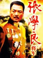 張學良將軍劇情介紹(1-35全集)