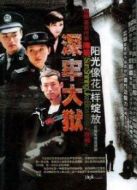 陽光像花一樣綻放劇情介紹(1-34全集)