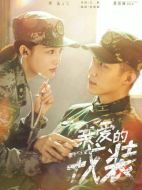愛上特種兵海報