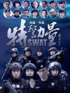特警力量海報