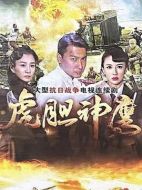 虎膽神鷹劇情介紹（1-40全集）大結(jié)局