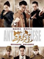 蕩寇劇情介紹（1-31全集）大結局