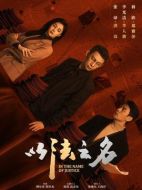 以法之名劇情介紹（1-36全集）大結(jié)局