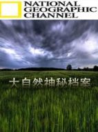 大自然神秘檔案劇情介紹(1-2全集)