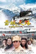 雪域天路劇情介紹(1-40全集)