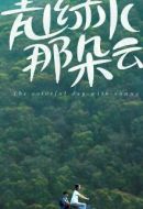 青山綠水那朵云劇情介紹(1-10全集)