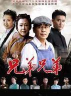 兄弟兄弟劇情介紹(1-50全集)