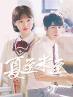 夏至未至[DVD版][TV剪輯版]劇情介紹(1-40全集)