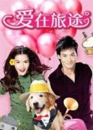 愛在旅途劇情介紹(1-30全集)