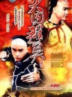 大內(nèi)群英續(xù)集劇情介紹(1-21全集)