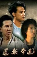 還我本色海報