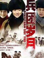 兵團(tuán)歲月劇情介紹(1-38全集)