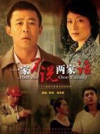 一家不說兩家話劇情介紹(1-28全集)