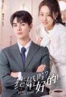 結(jié)婚嗎？好的！劇情介紹(1-30全集)