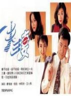 一夫三妻劇情介紹(1-20全集)
