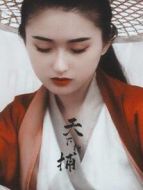 天下神捕劇情介紹(1-23全集)