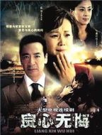 良心無(wú)悔劇情介紹(1-38全集)