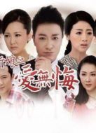 百萬新娘之愛無悔（TV版）劇情介紹(1-75全集)