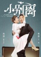 小別離浙江衛(wèi)視版劇情介紹(1-45全集)