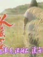 孤城客劇情介紹(1-20全集)