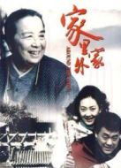 家里家外劇情介紹(1-28全集)