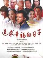 追求幸福的日子劇情介紹(1-30全集)