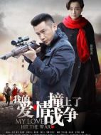 我的愛情撞上了戰(zhàn)爭(zhēng)劇情介紹(1-46全集)