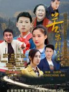 苦樂(lè)村官劇情介紹(1-30全集)
