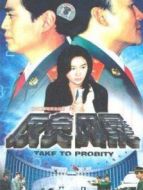 反貪風(fēng)暴DVD劇情介紹(1-22全集)
