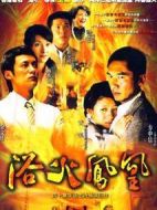 浴火鳳凰劇情介紹(1-40全集)