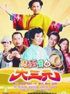 跟紅頂白大三元劇情介紹(1-40全集)