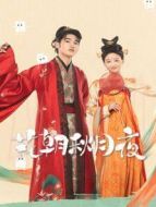 只是離婚的關(guān)系海報(bào)