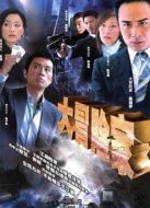 大冒險(xiǎn)家（DVD版）劇情介紹(1-30全集)