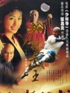 少林武王劇情介紹(1-22全集)