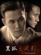 黑狐之風(fēng)影劇情介紹(1-42全集)