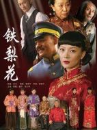 鐵梨花劇情介紹(1-43全集)