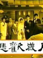 悲歡歲月劇情介紹(1-21全集)