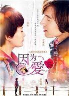 因?yàn)閻?ài)劇情介紹(1-30全集)